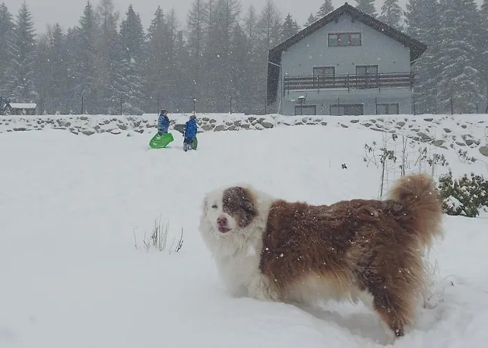 ホームステイ 19a カルパッチ