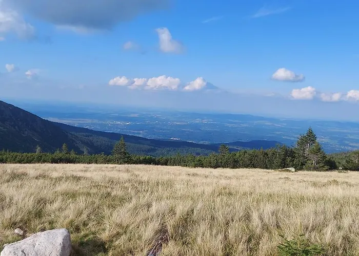 19a * カルパッチ