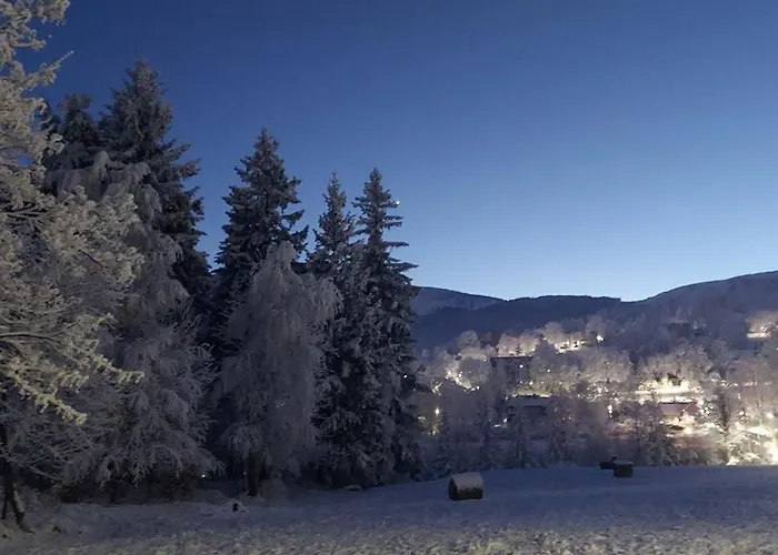 19a ホームステイ