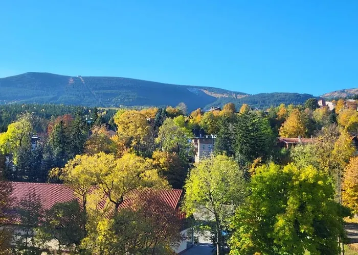 19a ホームステイ