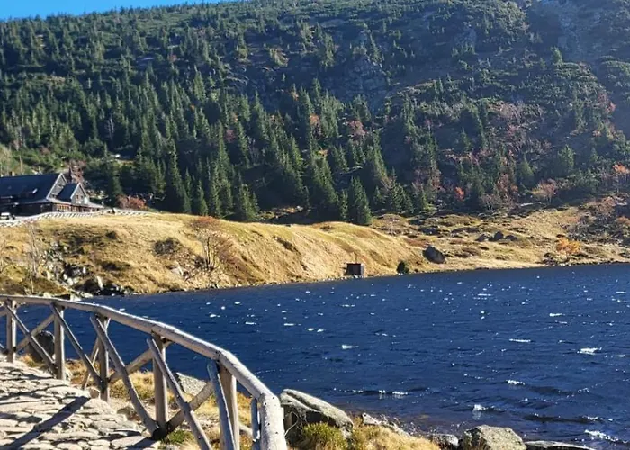 19a ホームステイ