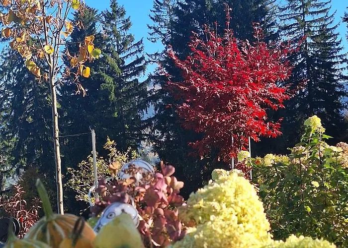 Séjour chez l'habitant 19a