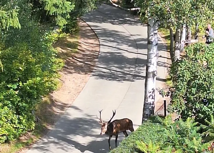 Séjour chez l'habitant 19a Karpacz
