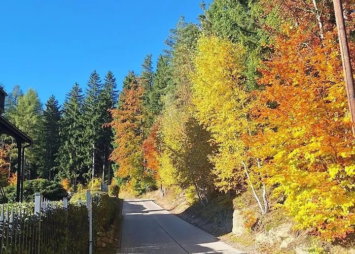 19a * カルパッチ