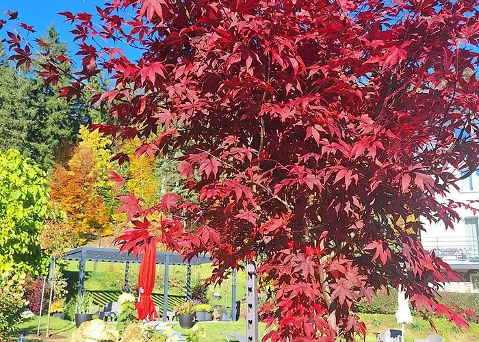 19a ホームステイ *