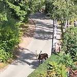 Privatunterkunft 19a Karpacz
