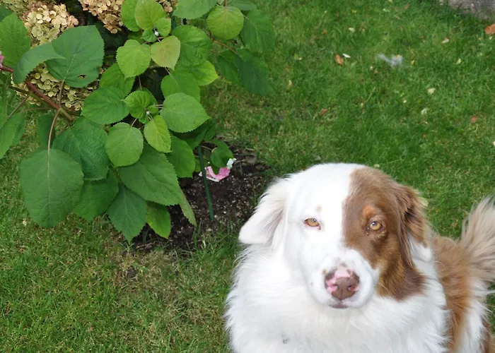 Privatunterkunft 19a Karpacz