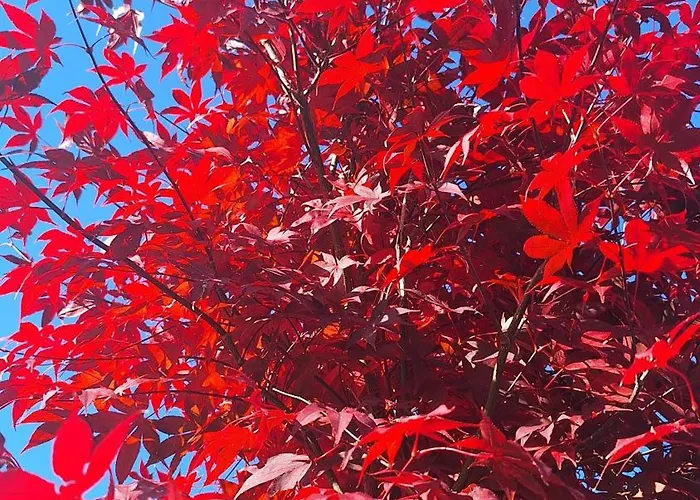 19a Privatunterkunft